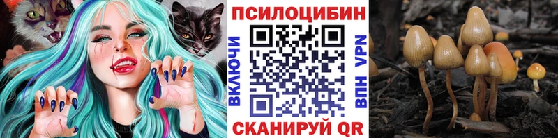 Купить  Рязань  Галлюциногенные грибы мухоморы 